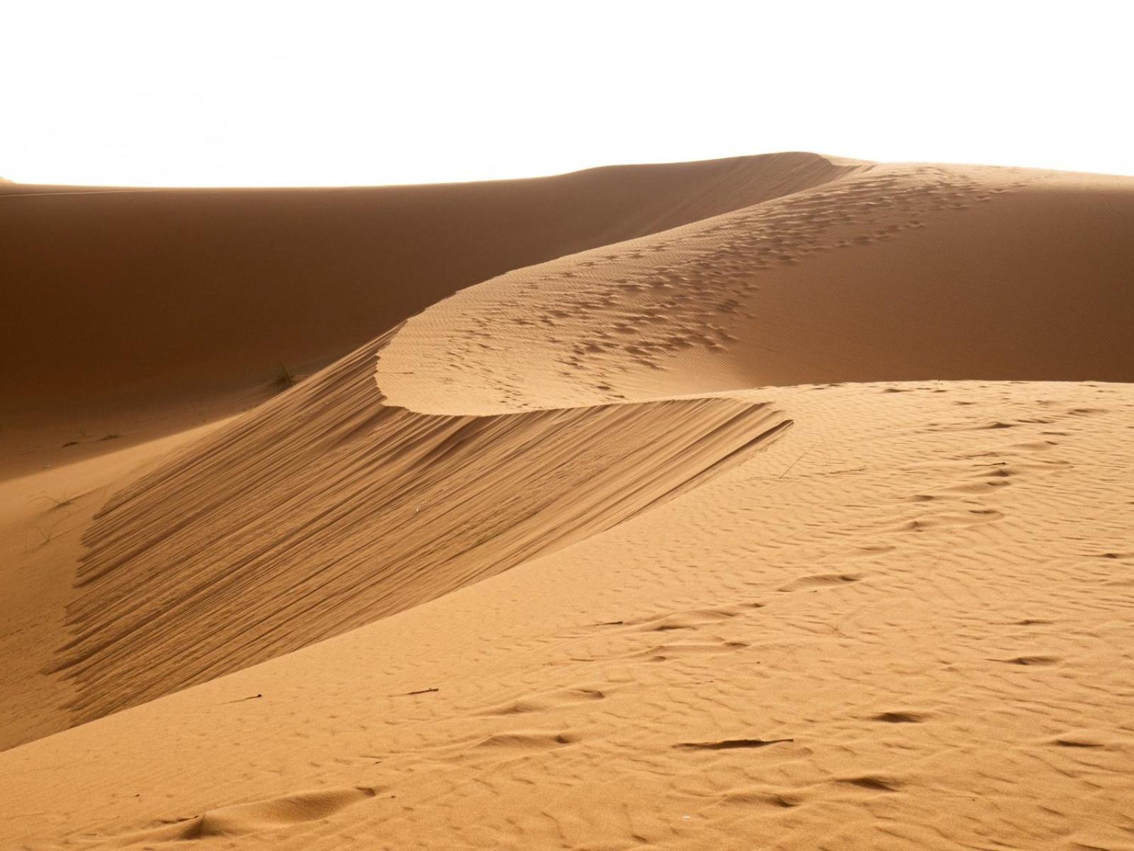 Maison Merzouga Guest House מראה חיצוני תמונה